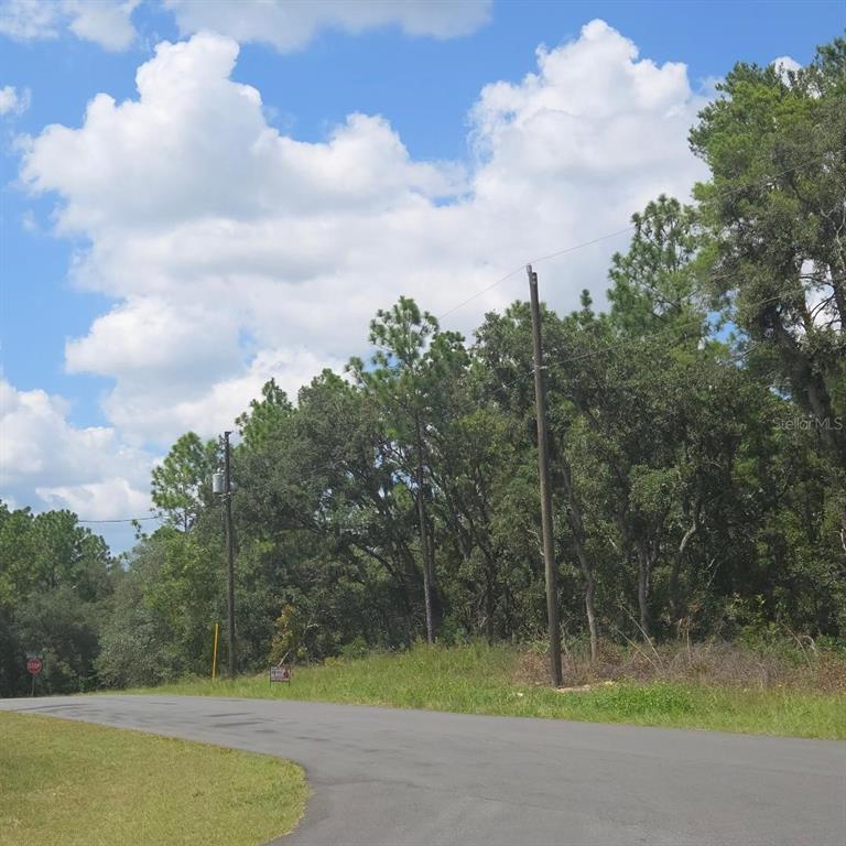 A paved road curves past a wooded lot with utility poles under a cloudy sky — TBD SW 62ND CT, OCALA, FL
