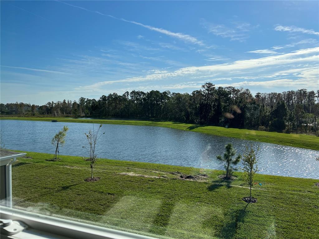 17575 SAW PALMETTO AVENUE, CLERMONT, FL — photo 5 of 30