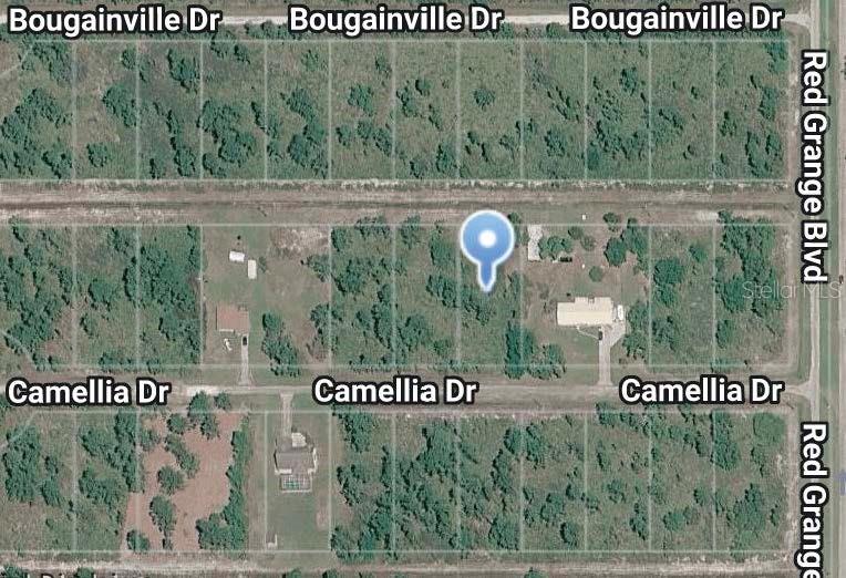 This is a satellite map view showing residential lots between Bougainville Drive and Camellia Drive — 10 CAMELLIA DRIVE, INDIAN LAKE ESTATES, FL