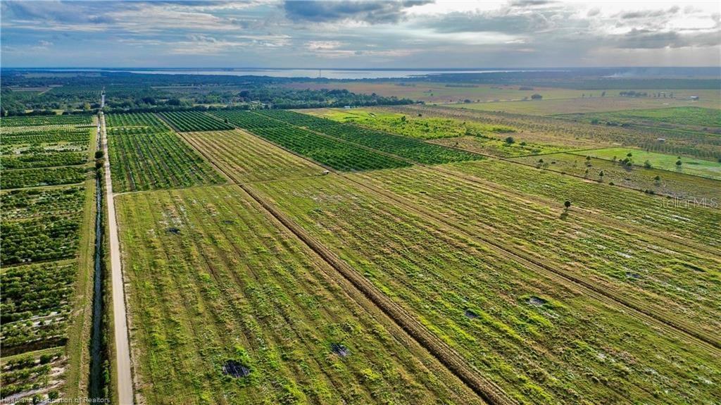 An aerial view shows a large, flat agricultural property with rows of trees and fields — 3288 AUBURN STREET, LORIDA, FL