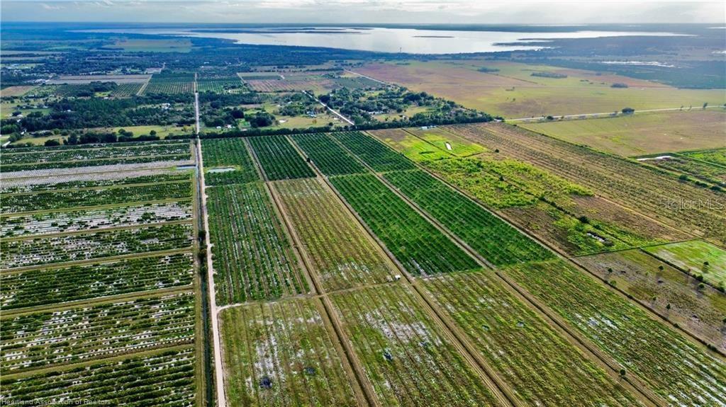 An aerial view shows large agricultural fields and citrus groves stretching toward a distant lake — 3288 AUBURN STREET, LORIDA, FL