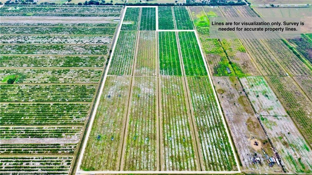 An aerial view shows a rectangular plot of agricultural land divided into rows of crops — 3288 AUBURN STREET, LORIDA, FL