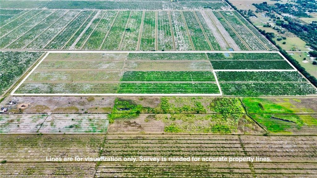 An aerial view shows a rectangular agricultural plot outlined in white amidst surrounding farmland — 3288 AUBURN STREET, LORIDA, FL