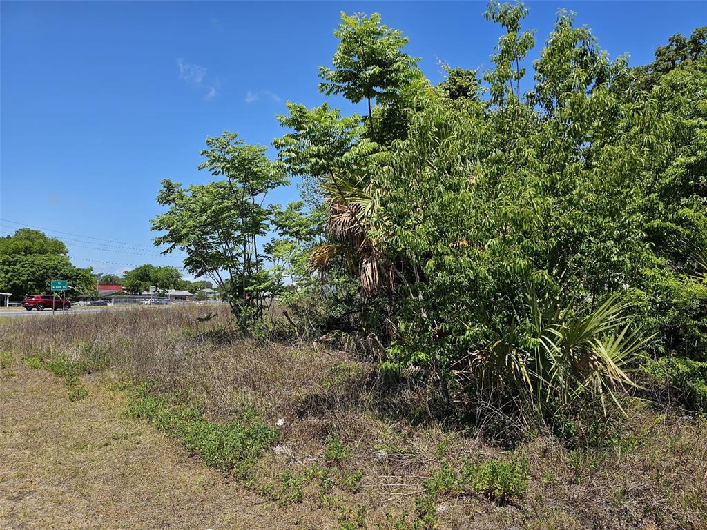 A vacant, grassy lot with scattered trees and shrubs under a clear blue sky — S HWY 301, BELLEVIEW, FL