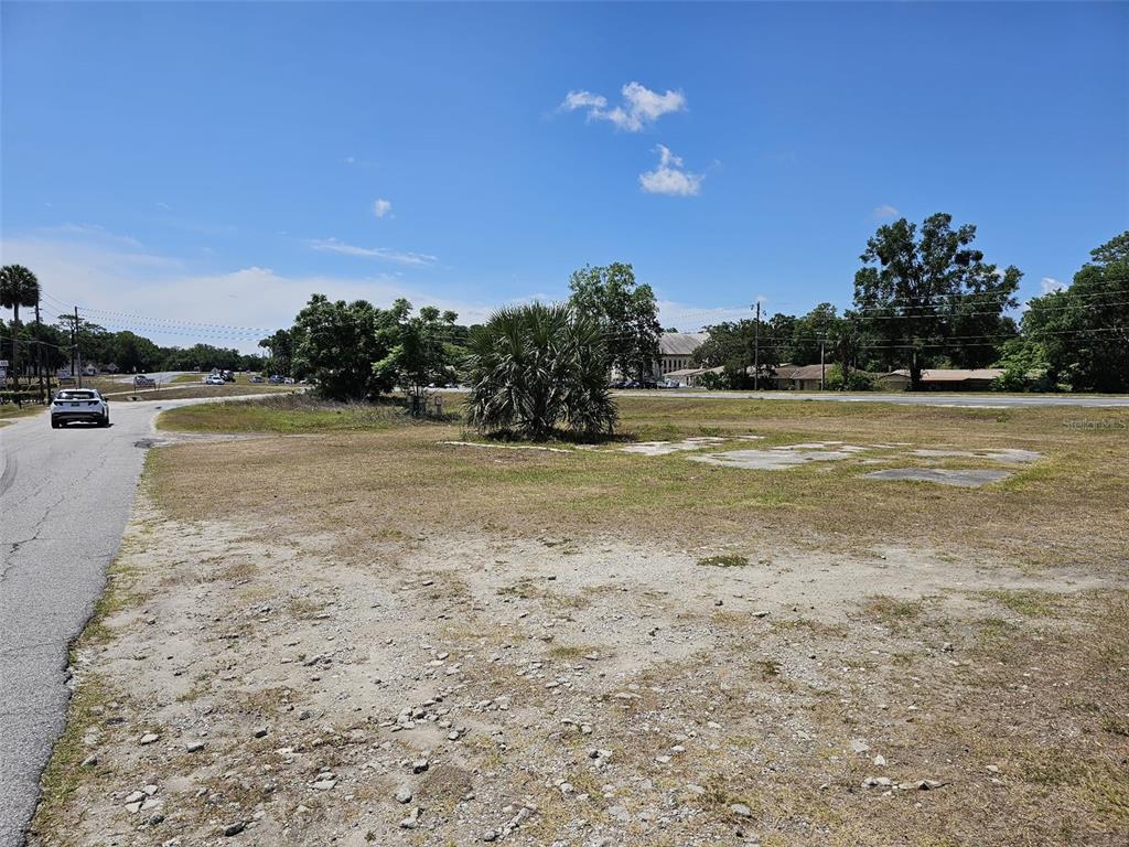 A vacant, grassy lot with a palm tree and concrete pads sits beside a road — S HWY 301, BELLEVIEW, FL