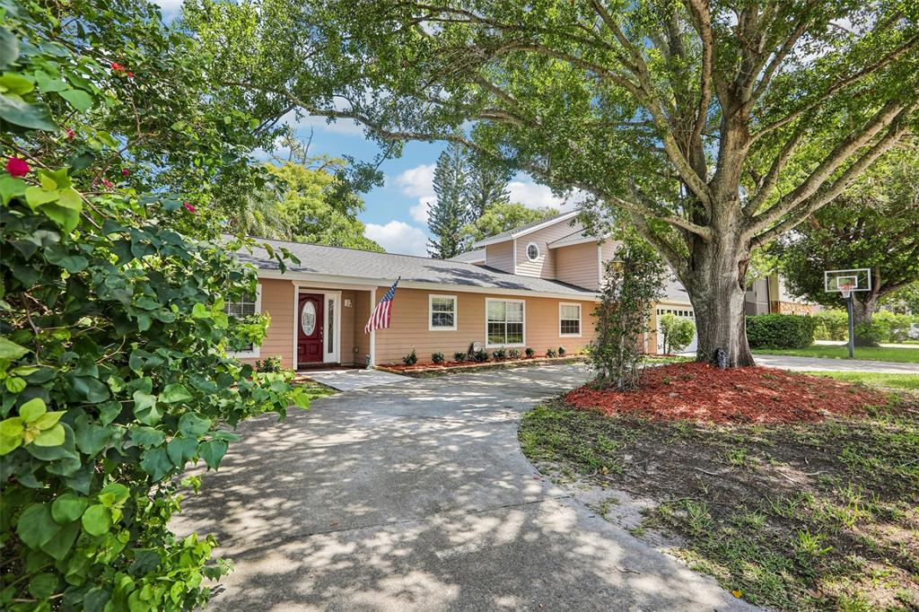 A tan house with a red front door and a large tree in the front yard — 3131 N CANAL DRIVE, PALM HARBOR, FL