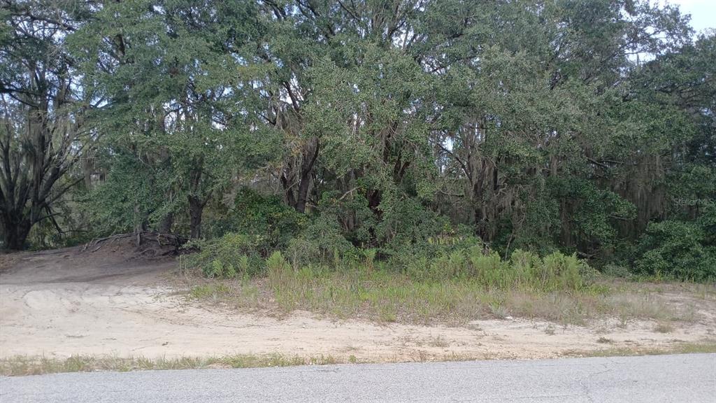 SE MALAUKA LOOP RUN ROAD