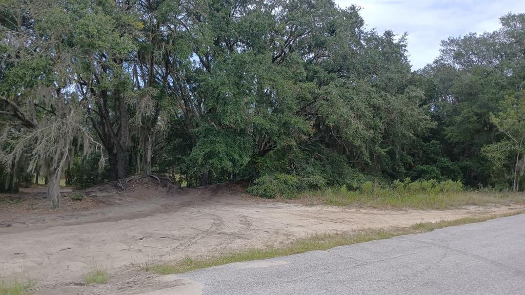 SE MALAUKA LOOP RUN ROAD, OCKLAWAHA, FL — photo 2 of 3