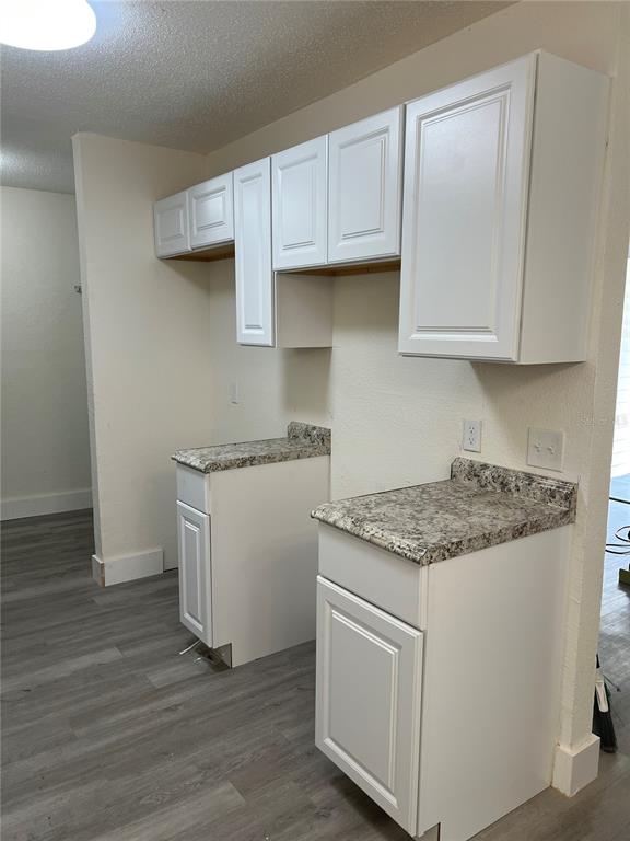 A kitchen area features white cabinets, speckled laminate countertops, and grey wood-look flooring — 2075 DIXIE AVENUE, SANFORD, FL