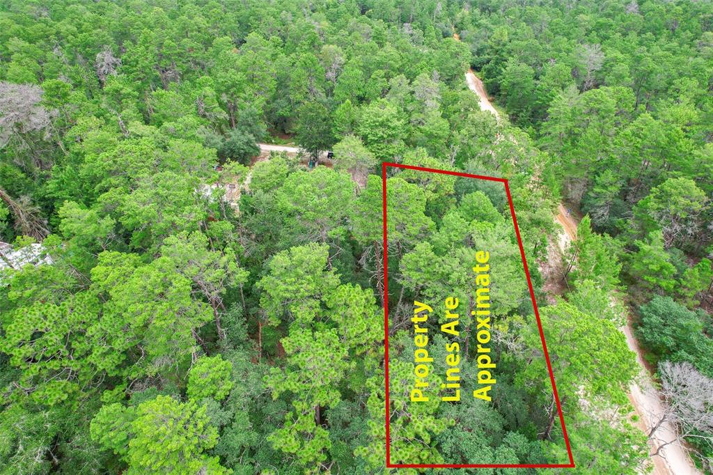 An aerial view shows a wooded lot with red lines marking the approximate property boundaries — 206 UTAH STREET, SATSUMA, FL