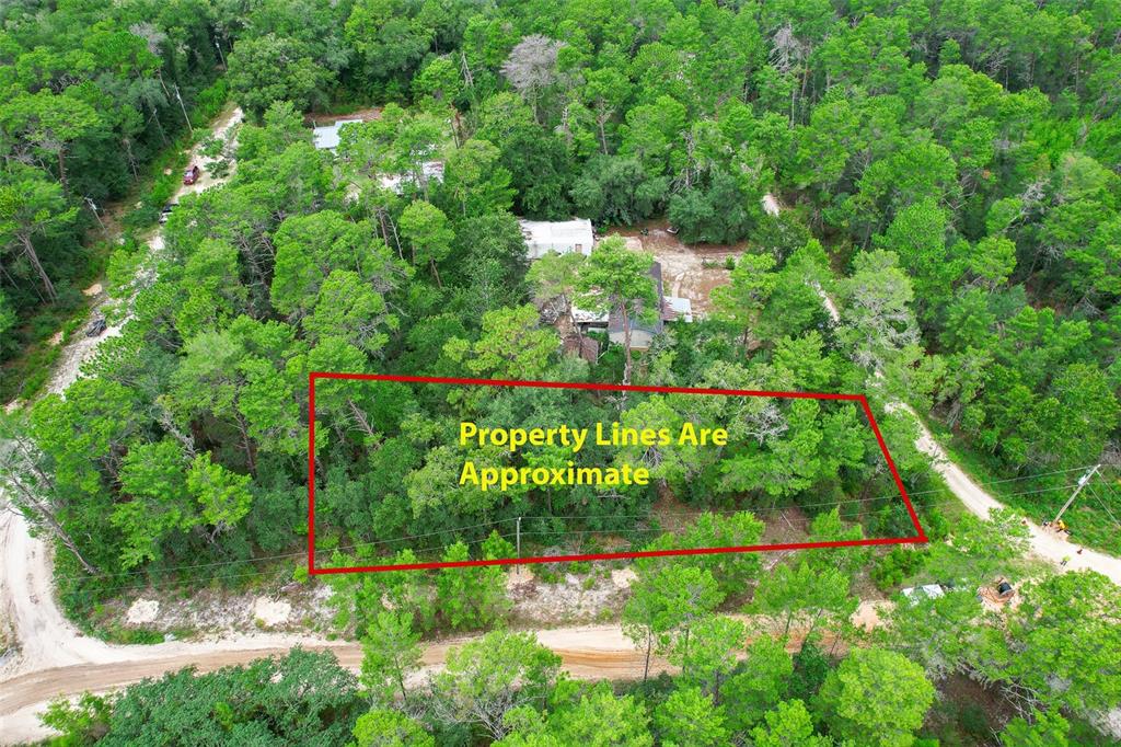 An aerial view shows a wooded lot with a red outline indicating property boundaries — 206 UTAH STREET, SATSUMA, FL