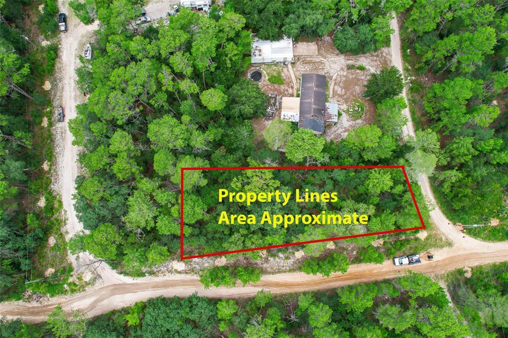 This aerial view shows a wooded lot with a house and dirt roads — 206 UTAH STREET, SATSUMA, FL