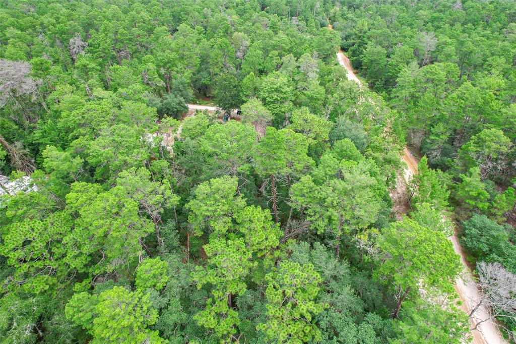An aerial view shows a dense forest with a dirt road winding through the trees — 206 UTAH STREET, SATSUMA, FL