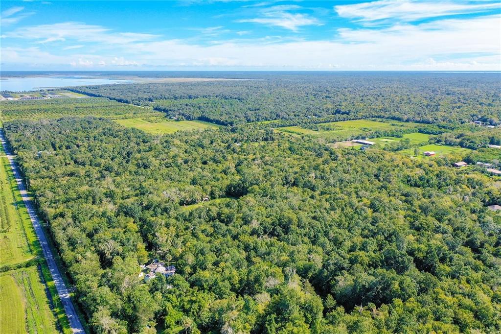 An aerial view shows a large, wooded property with a house and surrounding agricultural fields — ELM STREET, OVIEDO, FL