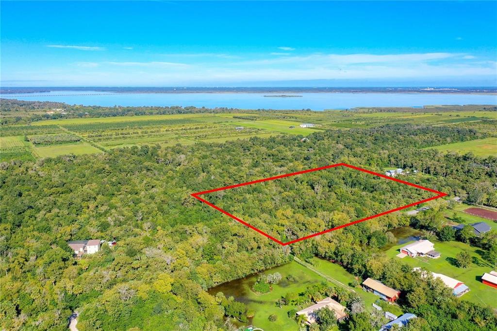 An aerial view shows a rectangular plot of land outlined in red amidst wooded terrain — ELM STREET, OVIEDO, FL