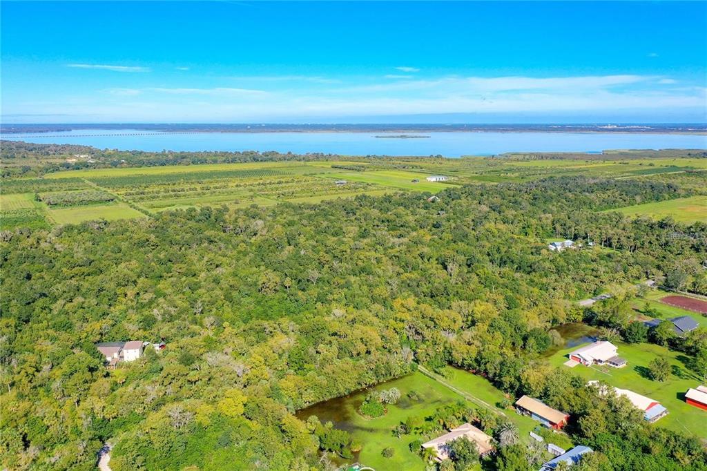 An aerial view shows a large wooded area bordering a lake and nearby residential properties — ELM STREET, OVIEDO, FL