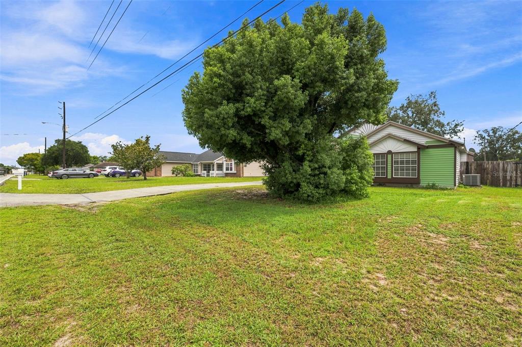 A large green tree stands in the front yard of a single-story house with siding — 13094 LINDEN DRIVE, SPRING HILL, FL