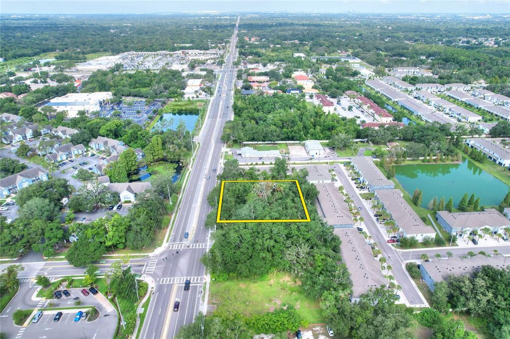 An aerial view shows a rectangular wooded lot outlined in yellow next to a road — 1240 BLOOMINGDALE AVENUE, VALRICO, FL
