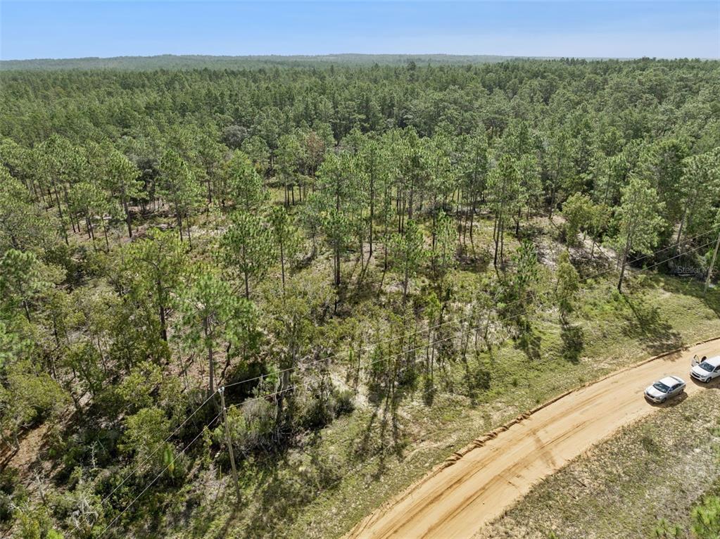 An aerial view shows a dirt road bordering a wooded lot with pine trees — 240 CESSNA WAY, HAWTHORNE, FL