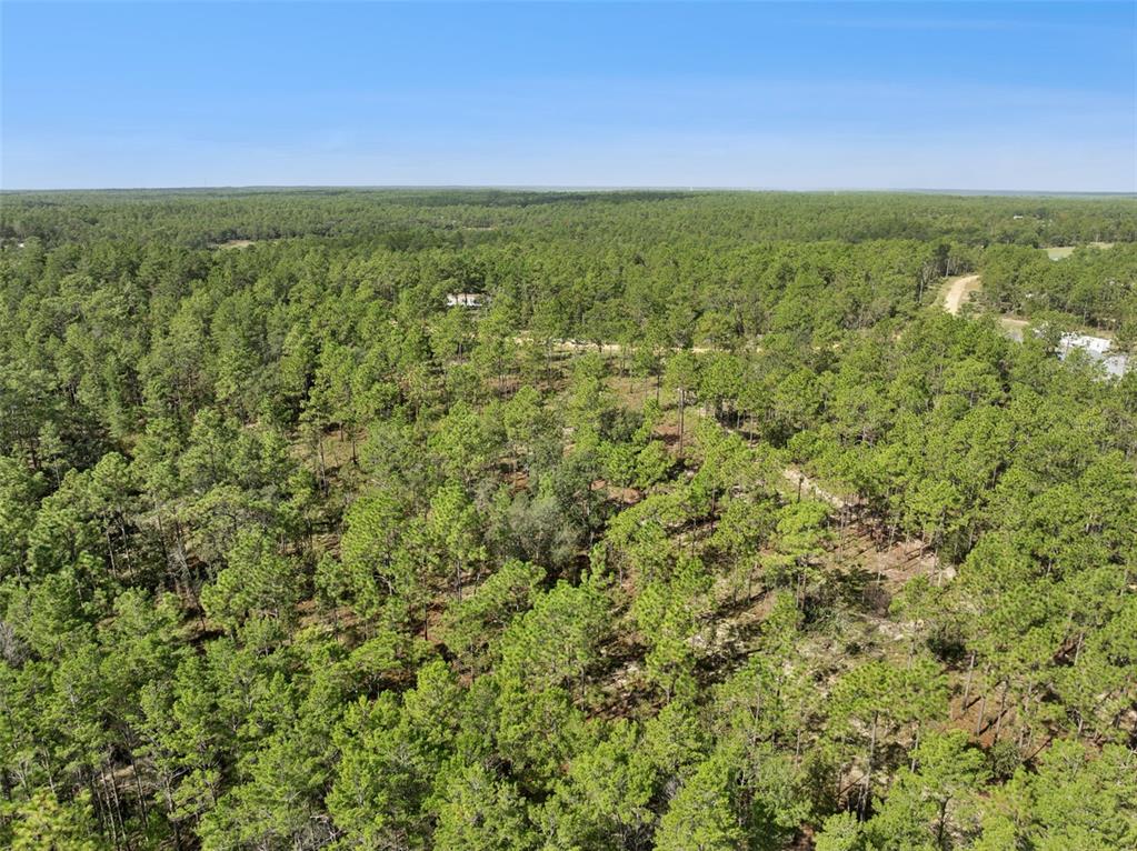 An aerial view shows a dense forest with a dirt road winding through the trees — 240 CESSNA WAY, HAWTHORNE, FL