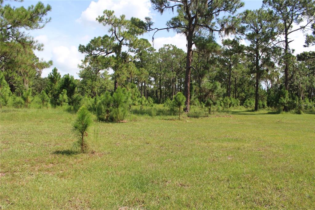 0 US HIGHWAY 98 W, FROSTPROOF, FL — photo 2 of 9
