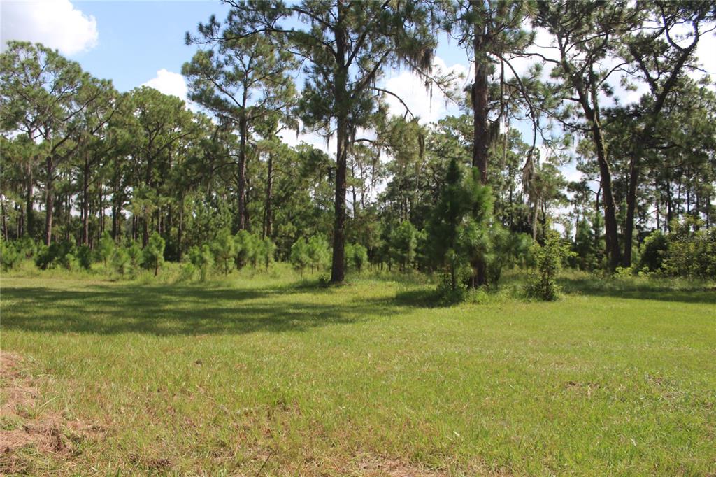 0 US HIGHWAY 98 W, FROSTPROOF, FL — photo 4 of 9