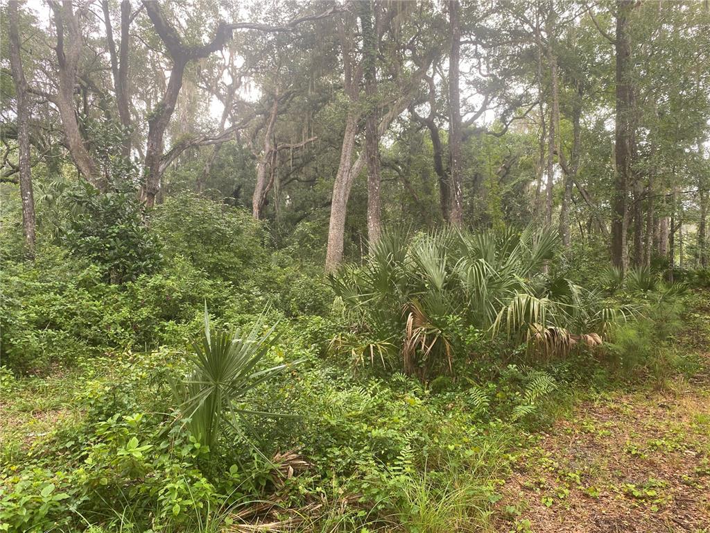 2851 SE 24TH PLACE, GAINESVILLE, FL — photo 3 of 6