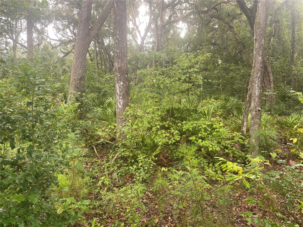 2851 SE 24TH PLACE, GAINESVILLE, FL — photo 4 of 6