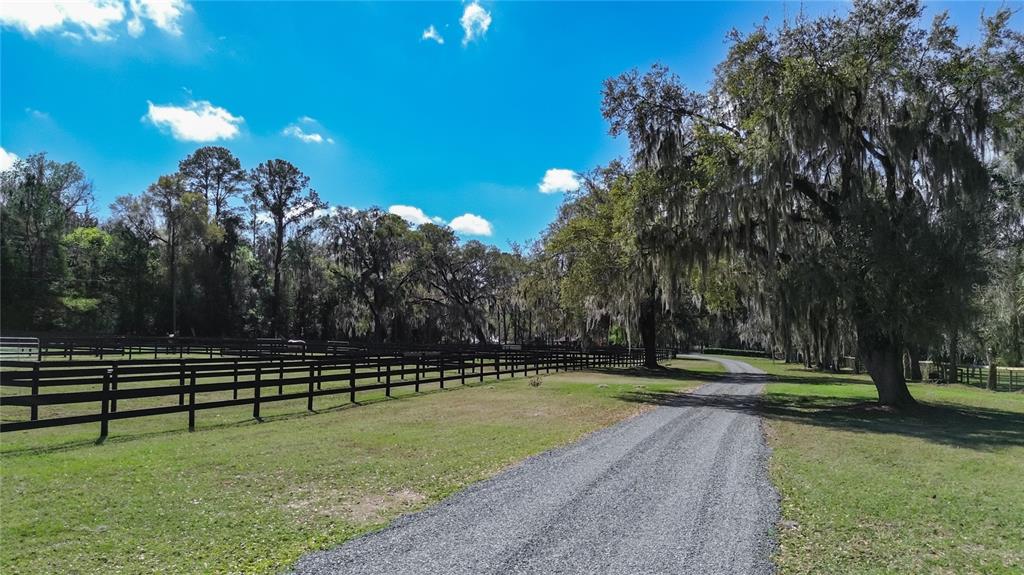 A gravel driveway leads past fenced pastures and large oak trees under a blue sky — 3245 NW 137TH PLACE, REDDICK, FL