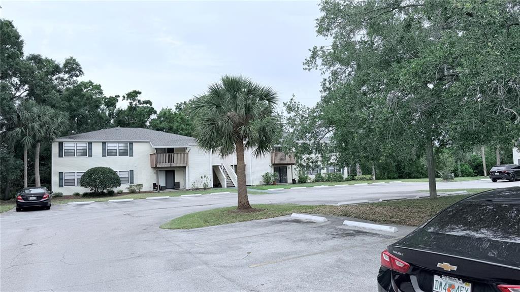 A two-story apartment building with a parking lot and palm trees in front — 131 SABAL COURT UNIT E, OLDSMAR, FL