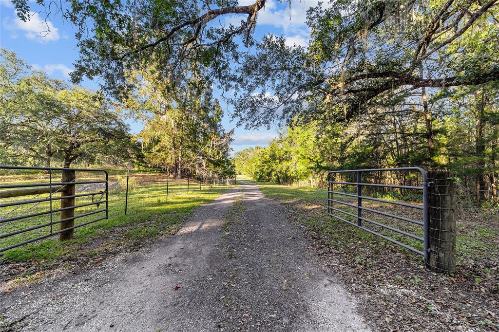 A gravel driveway leads through an open metal gate into a wooded, rural landscape — 2821 SE 80TH STREET, OCALA, FL
