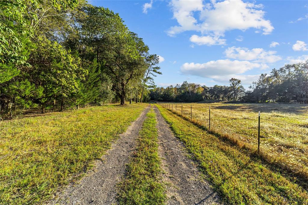 A gravel path leads through a grassy field bordered by a wire fence and trees — 2821 SE 80TH STREET, OCALA, FL