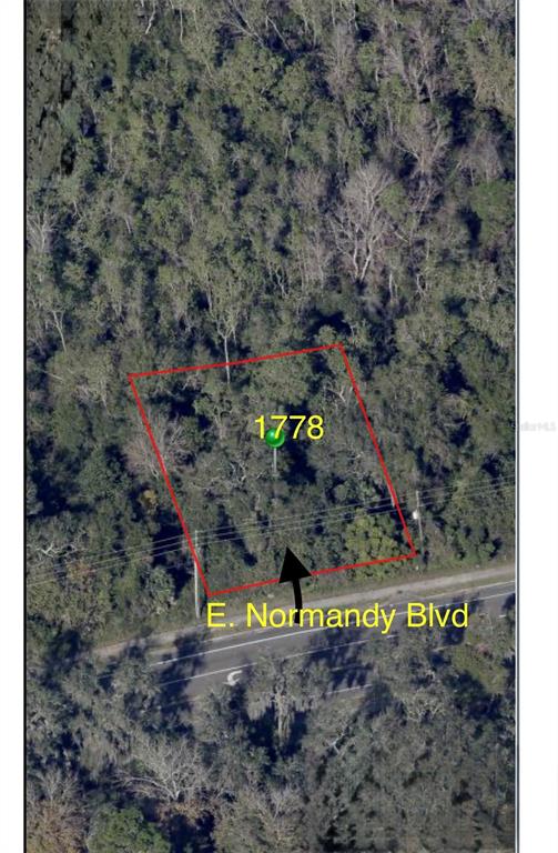 An aerial view shows a wooded, rectangular plot of land bordering E. Normandy Blvd — 1778 E NORMANDY BOULEVARD, DELTONA, FL