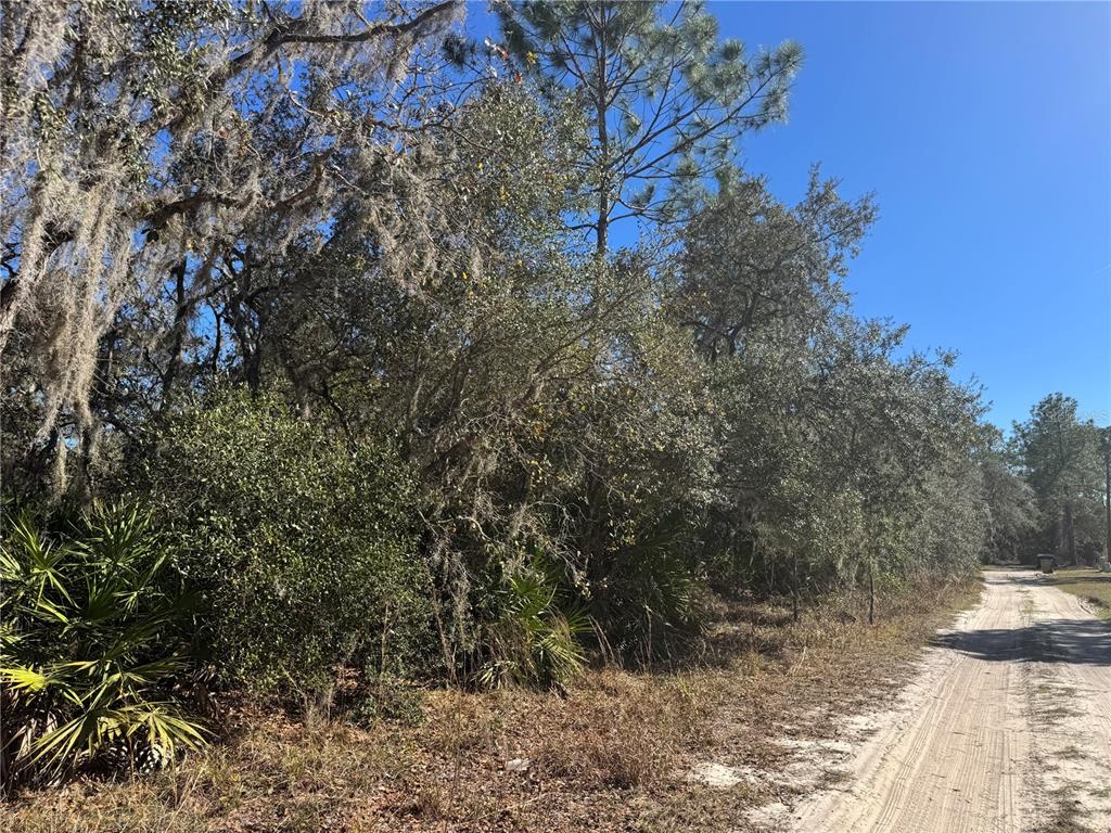 GRACE AVENUE, DELAND, FL — photo 3 of 4
