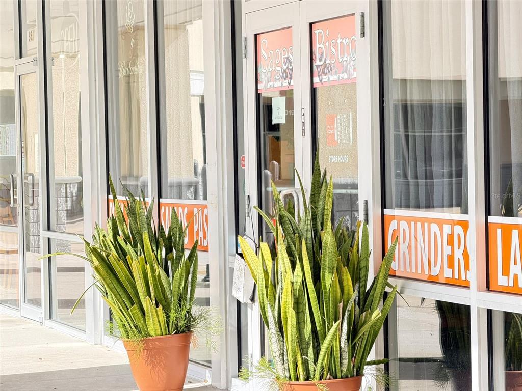 Two potted snake plants sit in front of the glass entrance doors of a bistro — 883 WEST BAY DRIVE, LARGO, FL