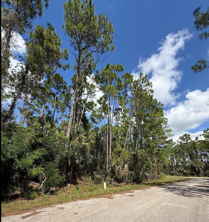 CARMELIA STREET, NORTH PORT, FL — photo 2 of 12