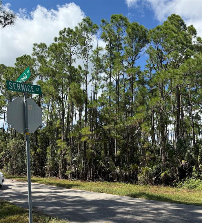 CARMELIA STREET, NORTH PORT, FL — photo 4 of 12