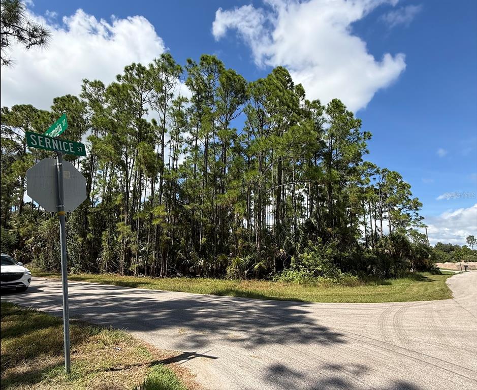 CARMELIA STREET, NORTH PORT, FL — photo 5 of 12