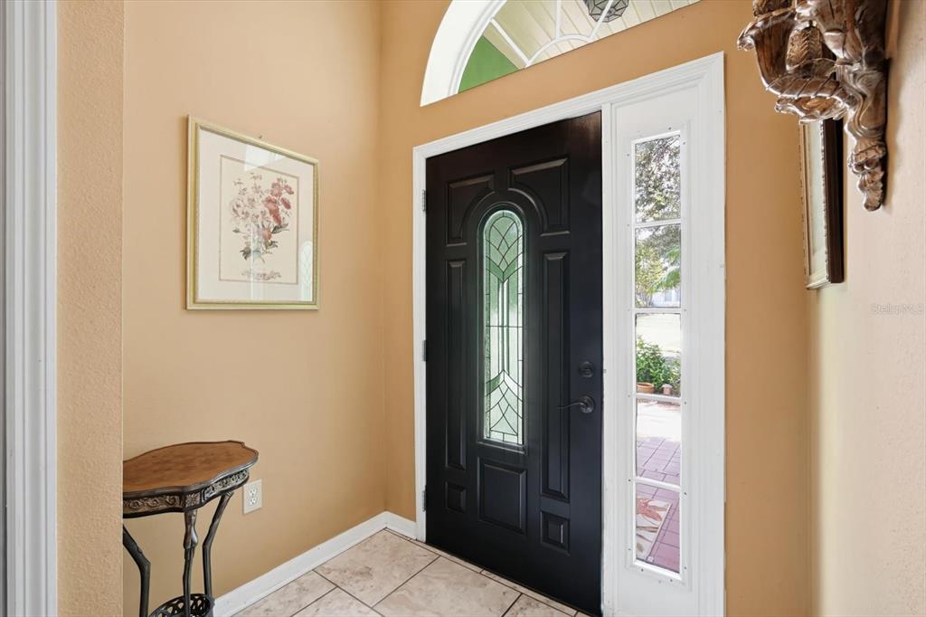 An entryway features a black front door with a glass insert, tile flooring, and tan walls — 809 ROCKY MOUNTAIN COURT, VALRICO, FL