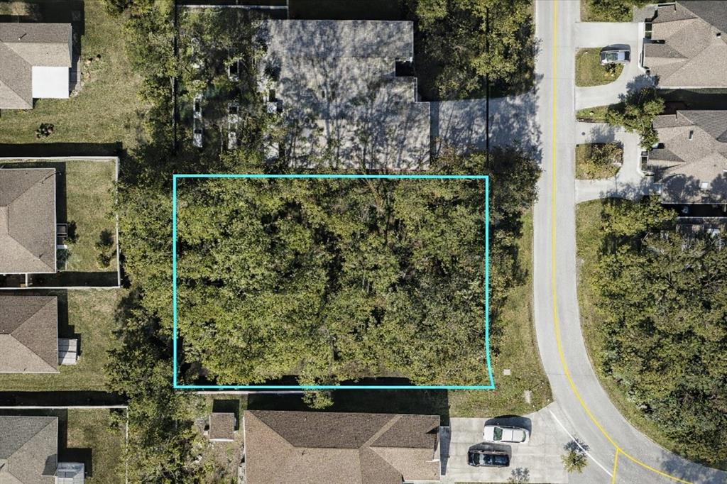 An aerial view shows a rectangular, tree-covered vacant lot bordered by residential houses and a road — 116 EDWARD DRIVE, PALM COAST, FL