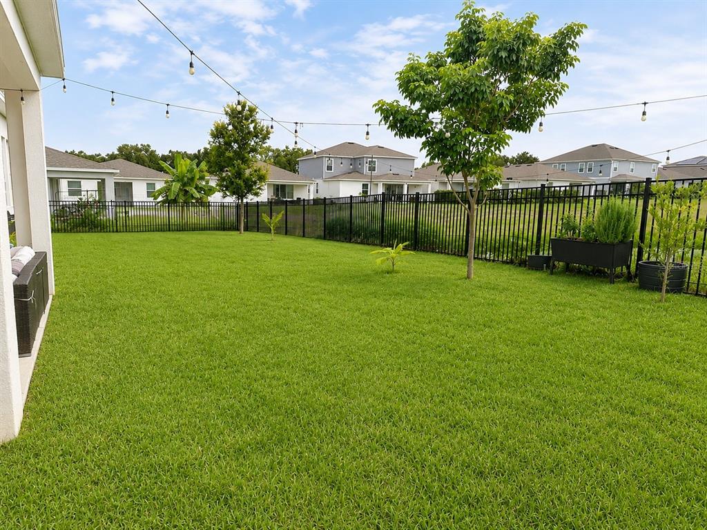 A fenced backyard features a green lawn, string lights, and several young trees — 4514 HILLINGDAM ROAD, DAVENPORT, FL