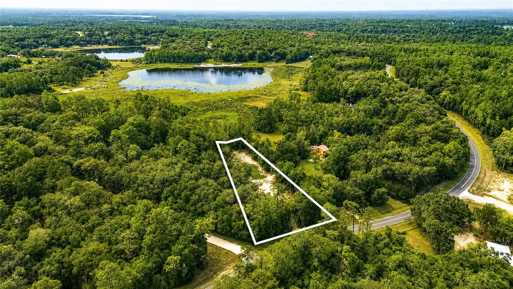 An aerial view shows a wooded lot outlined in white near a lake and road — 261 ASHLEY LAKE DRIVE, MELROSE, FL