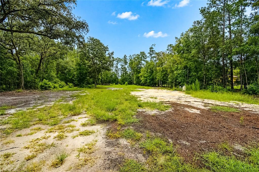 A grassy, sandy clearing is surrounded by a dense forest under a blue sky — 261 ASHLEY LAKE DRIVE, MELROSE, FL
