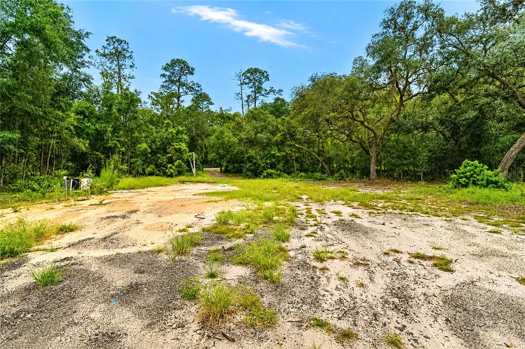 A wide, sandy clearing surrounded by dense trees and vegetation under a blue sky — 261 ASHLEY LAKE DRIVE, MELROSE, FL