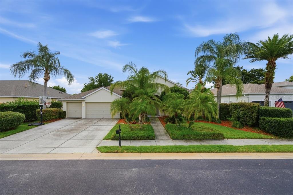 2138 EDELWEISS LOOP