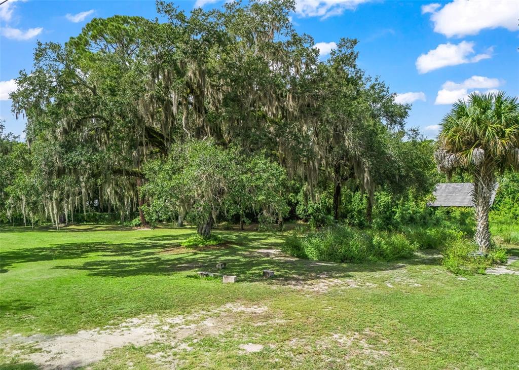 12530 SE 142ND AVENUE, OCKLAWAHA, FL — photo 3 of 19