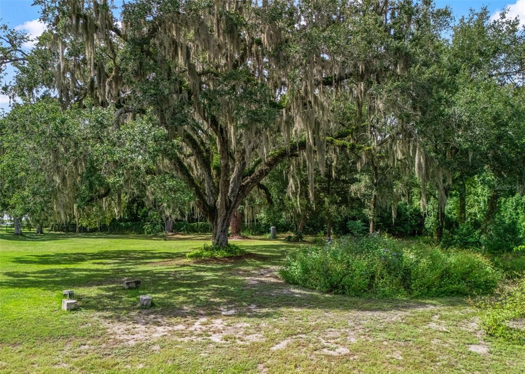 12530 SE 142ND AVENUE, OCKLAWAHA, FL — photo 4 of 19