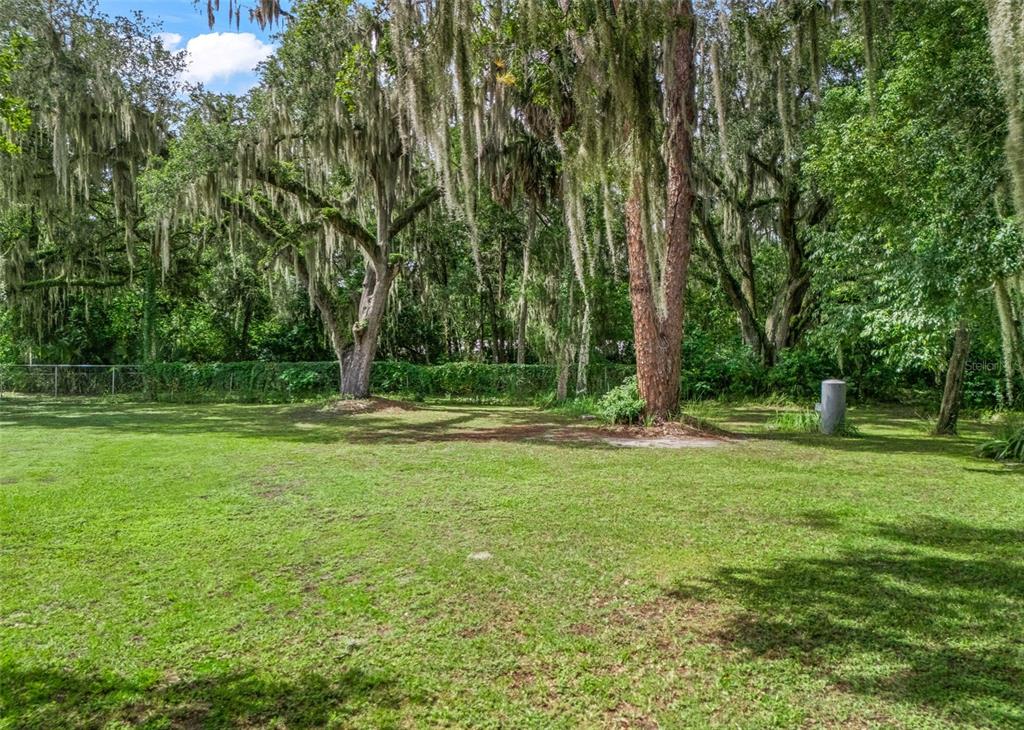 12530 SE 142ND AVENUE, OCKLAWAHA, FL — photo 5 of 19