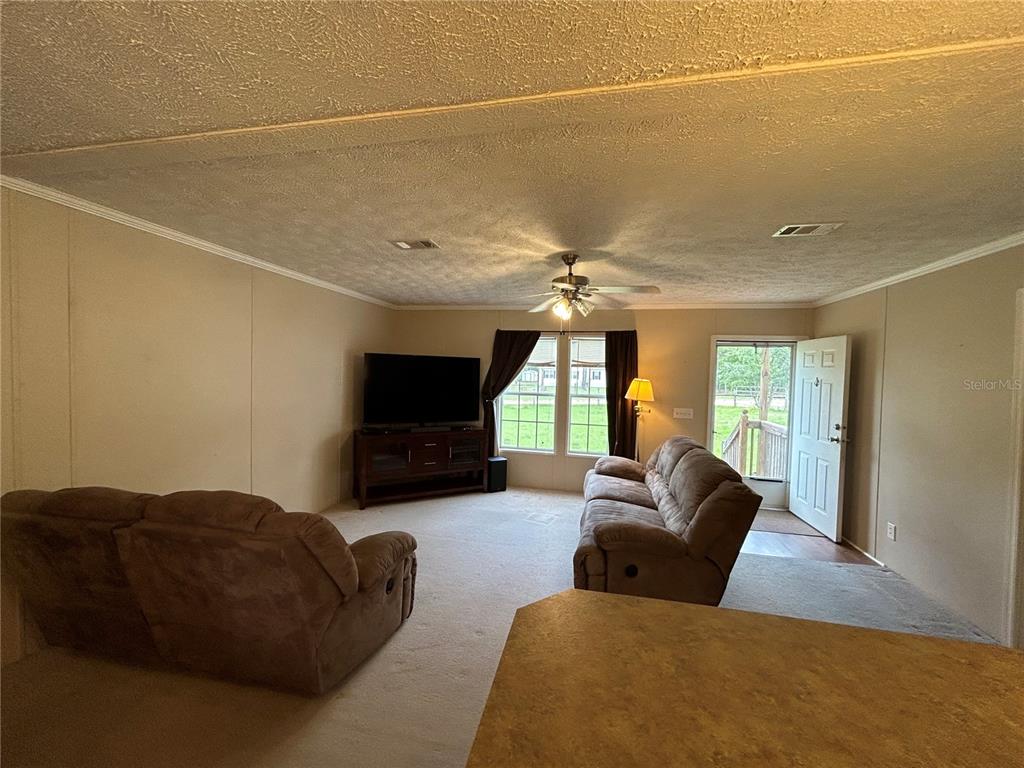 A living room features beige walls, carpeted flooring, two brown sofas, and a television console — 13191 NE 9TH STREET, WILLISTON, FL
