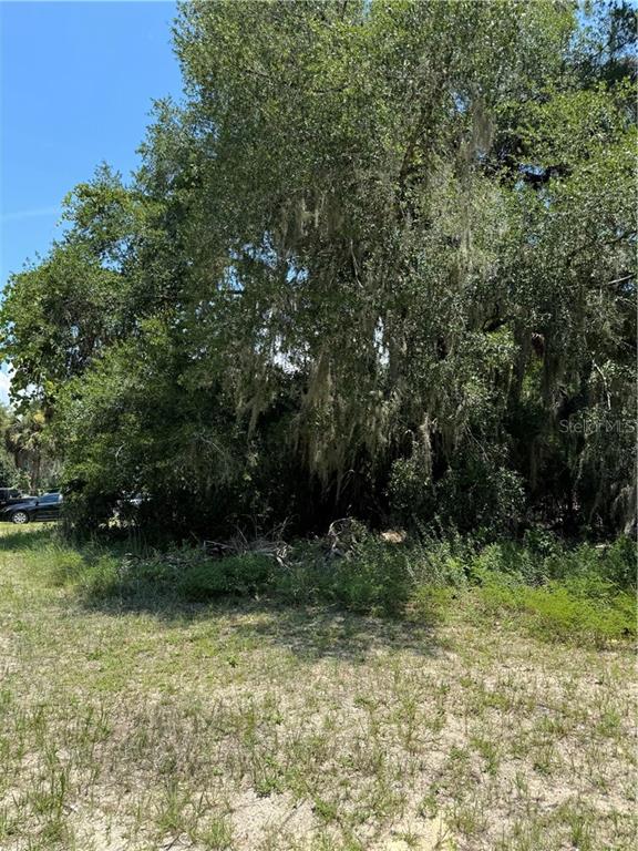 561 NE 13th TERRACE, CRYSTAL RIVER, FL — photo 2 of 8